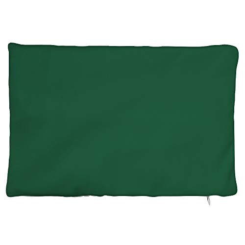 prz0vprz0v Glass Green Pillow Cover, Designer Pillows, Canvas Pillow Case, Glass Green Pillow Cover, Red Canvas Pillow Cover, Lumber Cushion Cover 8 x 12 Inch