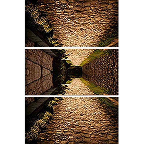 ArtzFolio Cobble Path Up & Down Split Art Painting Panel On Sunboard 28 X 42.1Inch