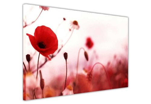 CANVAS IT UP Leinwandbild, Kunstdruck Red Poppy Blumen Blumen Romantische Foto Print Bild Raum Dekoration Floral Bilder Fotos Home Leinwände