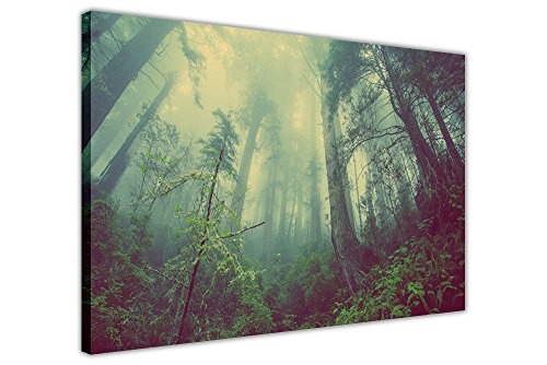 CANVAS IT UP Misty Forest Landschaft Art Wand Leinwand Bilder gerahmt Prints Größe: A1-86,4 x 61 cm (86 cm x 60 cm)