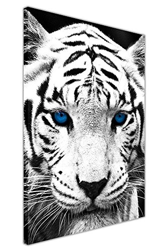 CANVAS IT UP Portrait White Tiger Blau-Augen auf Leinwand, Bilder zur Dekoration-Tier-Design Art Deco 05- A1-34" X 24" (86CM X 60CM) Schwarz