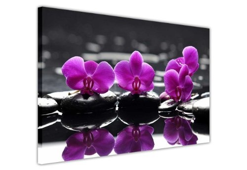 Leinwand mit floralem Design zum Aufhängen, Foto-Druck, Motiv: lilafarbene Rosen auf schwarzen Steinen und Wasser, für die Zimmerdekoration, canvas holz, schwarz/violett, 7- 30" X 20" (76CM X 50CM)