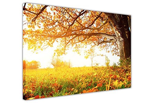 CANVAS IT UP Beautiful Autumn Sun Landschaft Prints gerahmt Wall Art Bilder auf Leinwand Fotos Größe: A1-86,4 x 61 cm (86 cm x 60 cm)
