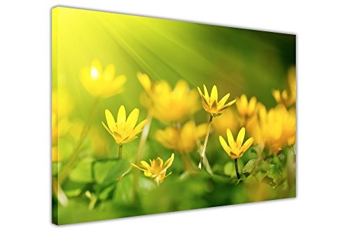 CANVAS IT UP Floral Bilder Leinwand Oxalis Blumen gelb Art Wand gerahmt Prints Modern Blumenmuster Art Größe: 101,6 x 76,2 cm (101 x 76 cm)