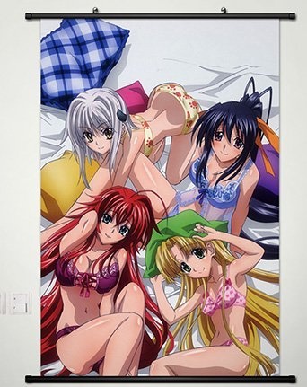 Laohujia Home Decor High School DXD New Cosplay Wall Scroll Poster Rias Gremory & Himejima Akeno & Toujou Koneko & Asia Argento 23.6 X 35.4 Inches - 045