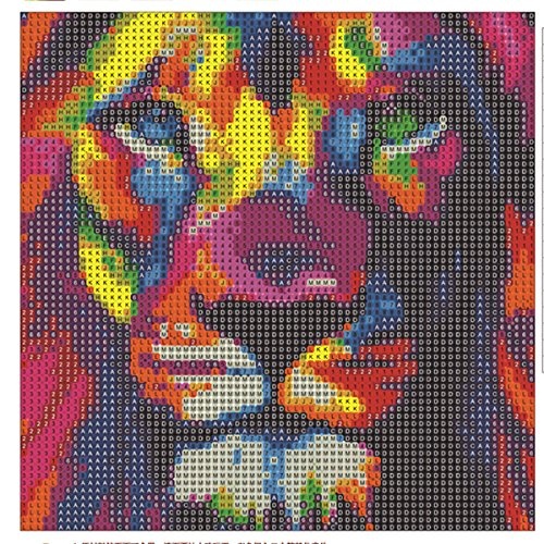 DIY 5D Diamond Painting, Crystal Rhinestone Embroidery Pictures Arts Craft for Home Wall Decor Color Lion Head 9.8 x 9.8
