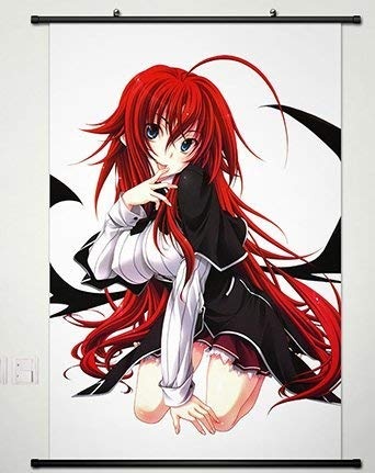 Laohujia Wall Scroll Poster Fabric Painting for Anime High School DxD New Rias Gremory 064 S