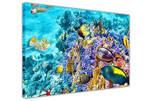 CANVAS IT UP Underwater Sea Life auf Rahmen Leinwand Wand Art Animal Bilder Reef Prints Home Dekoration Größe: 101,6 x 76,2 cm (101 x 76 cm)