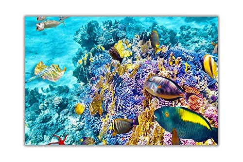 CANVAS IT UP Underwater Sea Life auf Rahmen Leinwand Wand Art Animal Bilder Reef Prints Home Dekoration Größe: 101,6 x 76,2 cm (101 x 76 cm)