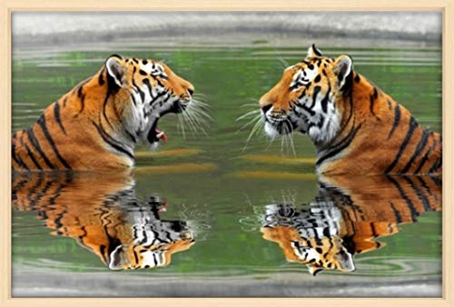 Homedeco-24 Canvas Leinwandbild Wandbild Kunstdruck, 2 Sibirische Tiger im Wasser 80x120 cm auf Keilrahmen gespannt und mit Massivholz-Schattenfugenrahmen 6 Farben-Auswahl, Hier Ahorn Natur