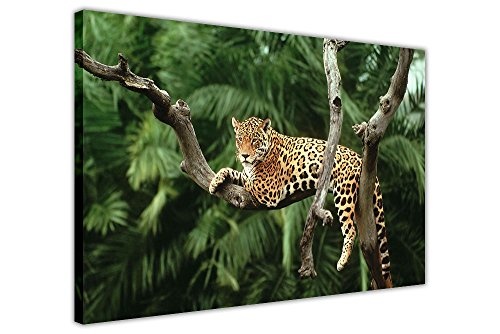 CANVAS IT UP Jaguar auf Baum Leinwand Wall Art Nature...