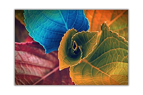 Farbige Blätter auf gerahmtes Leinwandbild Blumenmuster Art Bilder, 03- A2 - 24" X 16" (60cm X 40cm)
