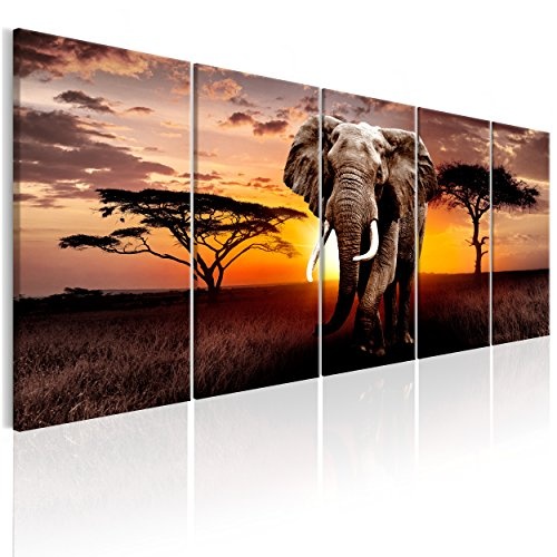 decomonkey Bilder Afrika Elefant Tier 225x90 cm 5 TLG....