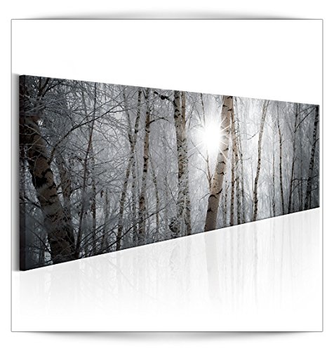 decomonkey Bilder Wald 150x50 cm 1 Teilig Leinwandbilder...