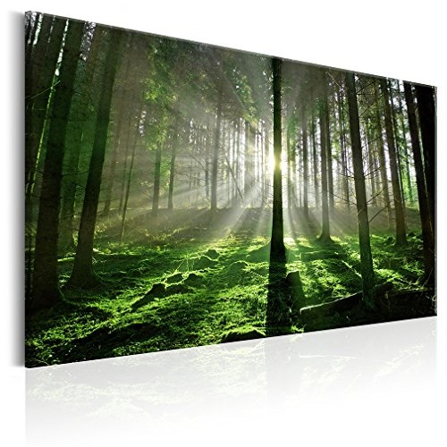 decomonkey Akustikbild Wald 120x80 cm 1 Teilig Bilder...