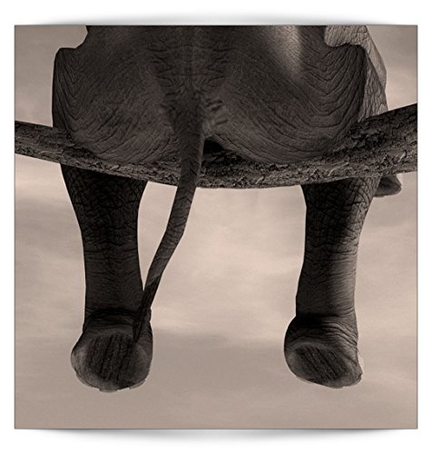 decomonkey Bilder Elefant 80x120 cm 1 Teilig Leinwandbilder Bild auf Leinwand Wandbild Kunstdruck Wanddeko Wand Wohnzimmer Wanddekoration Deko Landschaft Natur Tiere