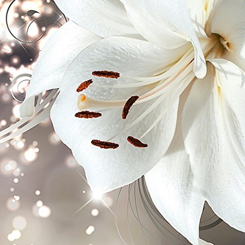 decomonkey | Fototapete Blumen Lilien Abstrakt 300x210 cm XL | Tapete | Wandbild | Wandbild | Bild | Fototapeten | Tapeten | Wandtapete | Wanddeko | Wandtapete | Orchidee weiß Abstrakt beige