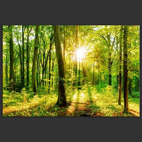 decomonkey | Mega XXXL Bilder Wald Baum | Wandbild Leinwand 160x80 cm Selbstmontage DIY Einteiliger XXL Kunstdruck zum aufhängen | Natur Landschaft grün