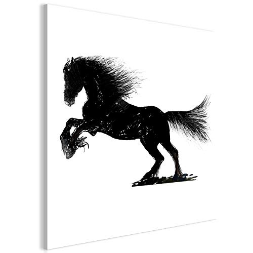 decomonkey Bilder Pferd 50x50 cm 1 Teilig Leinwandbilder...
