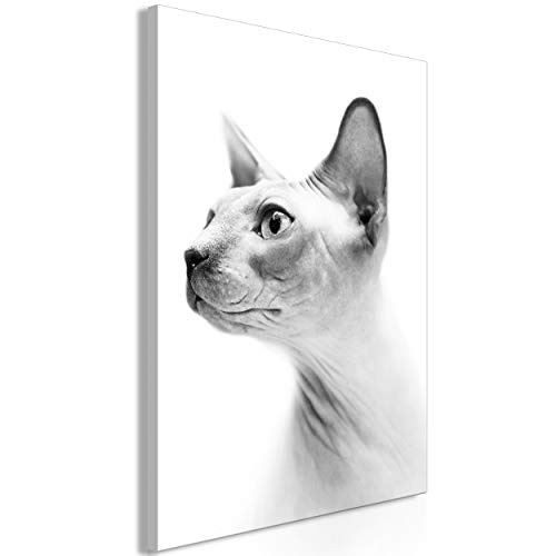 decomonkey Bilder Katze 80x120 cm 1 Teilig Leinwandbilder...