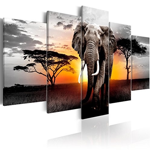 decomonkey Bilder Afrika Tiere 200x100 cm 5 TLG....