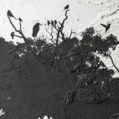 decomonkey | Poster 3er - Set mit schwarzem Rahmen schwarz-weiß Abstrakt Kunstdruck Wandbild Print Bilder Bilderrahmen Kunstposter Wandposter Posterset Baum Vogel Tiere Schatten Grau