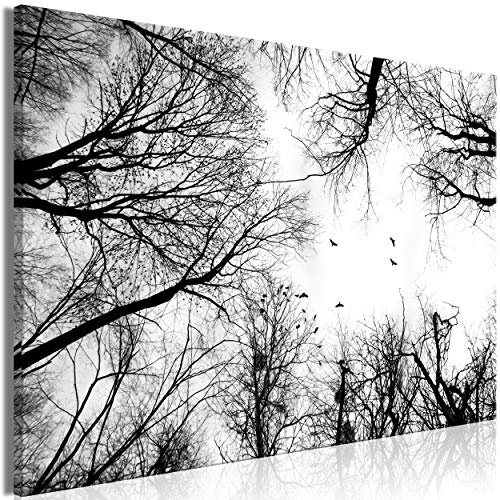 decomonkey Bilder Baum 120x80 cm 1 Teilig Leinwandbilder Bild auf Leinwand Wandbild Kunstdruck Wanddeko Wand Wohnzimmer Wanddekoration Deko Himmel