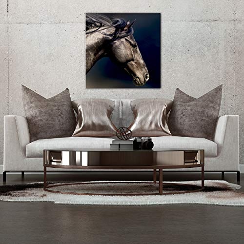 decomonkey Bilder Pferd 50x50 cm 1 Teilig Leinwandbilder...
