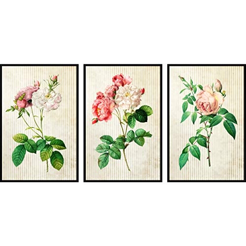 decomonkey | Poster 3er - Set schwarz-weiß Abstrakt Kunstdruck Wandbild Print Bilder Kunstposter Wandposter Posterset Blumen Rose Natur Vintage Beige Streifen
