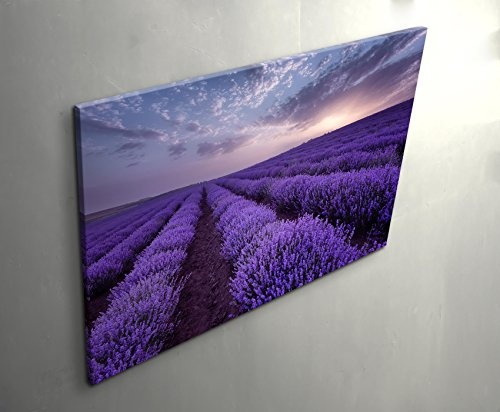 Paul Sinus Art Leinwandbilder | Bilder Leinwand 120x80cm Lavendel Feld
