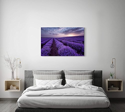 Paul Sinus Art Leinwandbilder | Bilder Leinwand 120x80cm Lavendel Feld