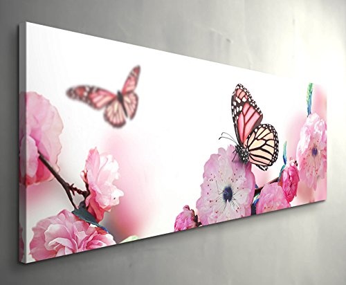 Paul Sinus Art Leinwandbilder | Bilder Leinwand 120x40cm Schmetterlinge auf Japanischen Kirschblüten