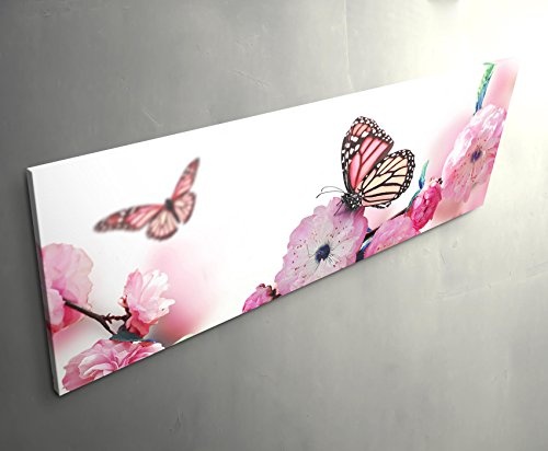 Paul Sinus Art Leinwandbilder | Bilder Leinwand 120x40cm Schmetterlinge auf Japanischen Kirschblüten