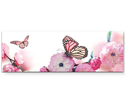 Paul Sinus Art Leinwandbilder | Bilder Leinwand 120x40cm Schmetterlinge auf Japanischen Kirschblüten