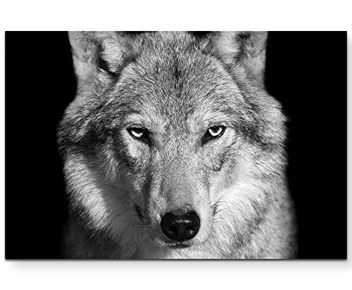 Paul Sinus Art Leinwandbilder | Bilder Leinwand 120x80cm Portrait - Wolf Schwarz, weiß
