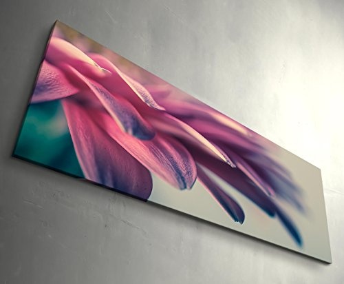 Paul Sinus Art Leinwandbilder | Bilder Leinwand 120x40cm Gerbera - Nahaufnahme