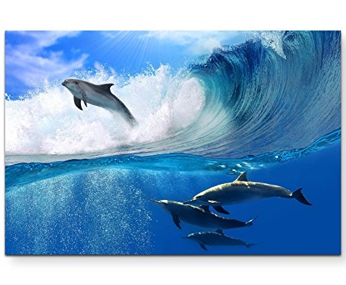 Paul Sinus Art Leinwandbilder | Bilder Leinwand 120x80cm spielende Delfine im Meer