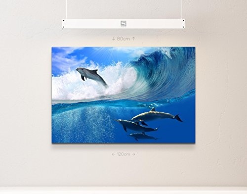 Paul Sinus Art Leinwandbilder | Bilder Leinwand 120x80cm spielende Delfine im Meer