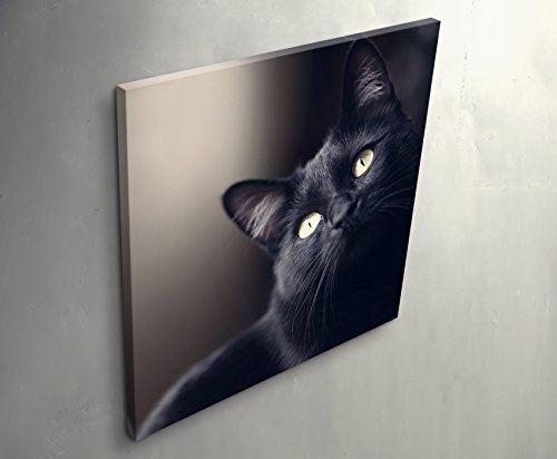 Paul Sinus Art Leinwandbilder | Bilder Leinwand 60x60cm Schwarze Katze - Portrait