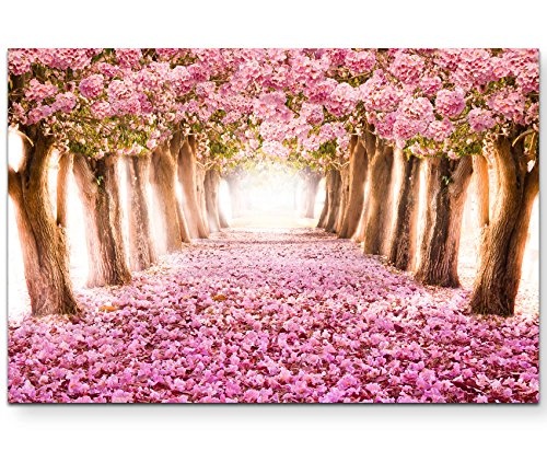 Paul Sinus Art Leinwandbilder | Bilder Leinwand 120x80cm Allee aus Rosa Blüten