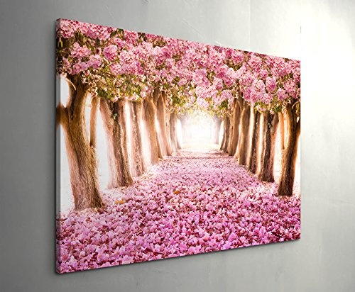 Paul Sinus Art Leinwandbilder | Bilder Leinwand 120x80cm Allee aus Rosa Blüten