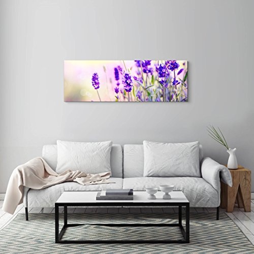 Paul Sinus Art Leinwandbilder | Bilder Leinwand 150x50cm Lavendel im Sonnenschein