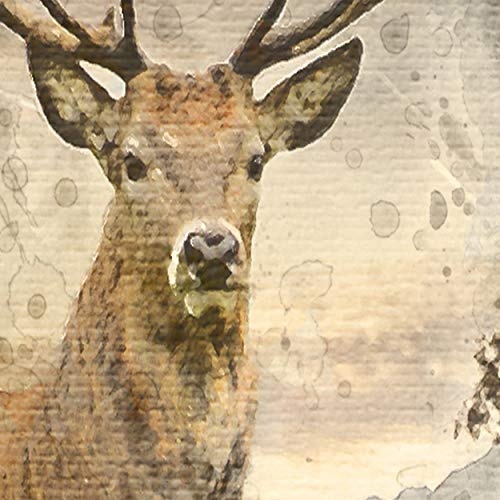 decomonkey | Mega XXXL Bilder Hirsch | Wandbild Leinwand 160x80 cm Selbstmontage DIY Einteiliger XXL Kunstdruck zum aufhängen | Natur Tiere
