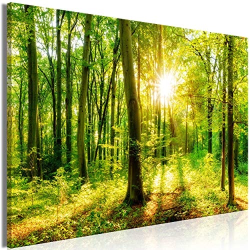decomonkey | Mega XXXL Bilder Wald Baum | Wandbild Leinwand 170x85 cm Selbstmontage DIY Einteiliger XXL Kunstdruck zum aufhängen | Natur Landschaft grün