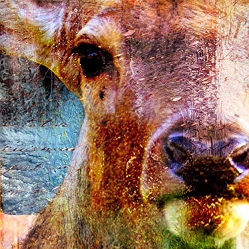 decomonkey | Mega XXXL Bilder Hirsch | Wandbild Leinwand 170x85 cm Selbstmontage DIY Einteiliger XXL Kunstdruck zum aufhängen | Tiere Abstrakt