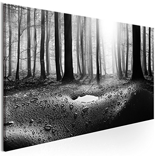 decomonkey Leinwand Bilder nachtleuchtend 100x45 cm 1 Teilig Wandbilder Tag & Nacht Design Bilder mit 3D nachleuchtenden Farben Vlies Leinwand Wald Baum Natur Sonne Schwarz Weiß