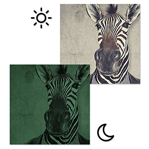 decomonkey Leinwand Bilder nachtleuchtend Natur Retro Vintage Menschen Zebras Hirsche Tiere Katzen 120x40 cm Wandbilder Tag & Nacht Design Bilder mit 3D nachleuchtenden Farben Vlies Leinwand