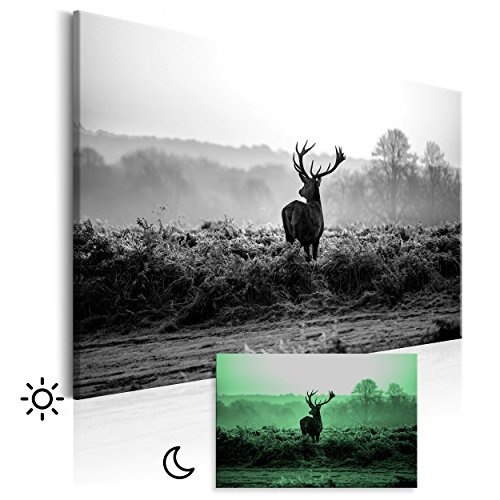 decomonkey Leinwand Bilder Hirsch nachtleuchtend 60x40 cm Wandbilder Tag & Nacht Design Bilder mit 3D nachleuchtenden Farben Vlies Leinwand/Tiere Natur Landschaft