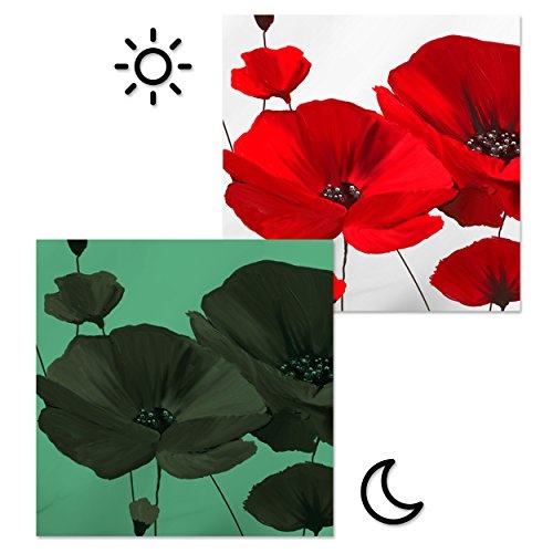 decomonkey Leinwand Bilder nachtleuchtend 120x40 cm Wandbilder Tag & Nacht Design Bilder mit 3D nachleuchtenden Farben Vlies Leinwand Blumen Mohnblumen rot
