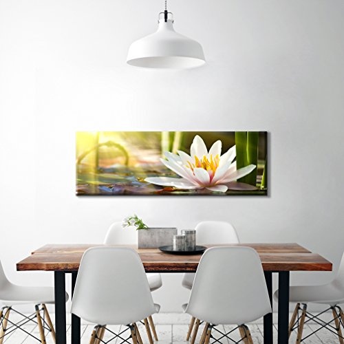 decomonkey Bilder Blumen Seerose weiß 120x40 cm 1...